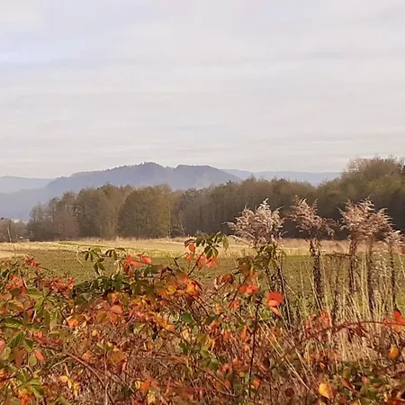 Na Słonecznej Domek alpejski Radziechowy