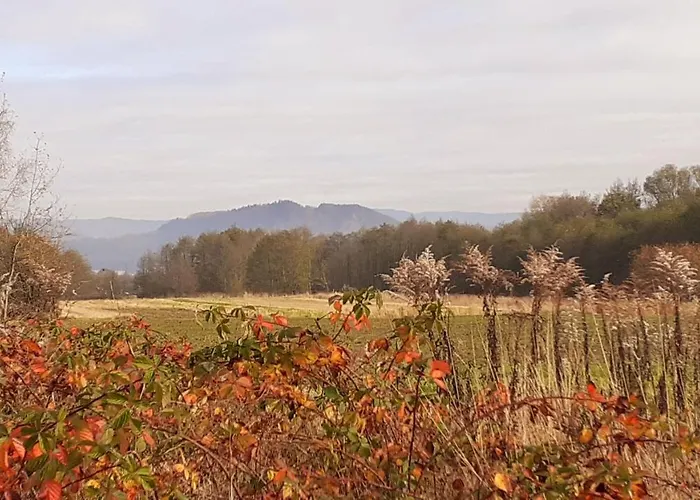 Na Slonecznej בקתה Radziechowy